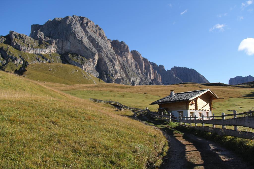 Apartments Vaiolet Santa Cristina Val Gardena Экстерьер фото