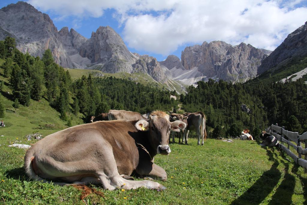 Apartments Vaiolet Santa Cristina Val Gardena Экстерьер фото