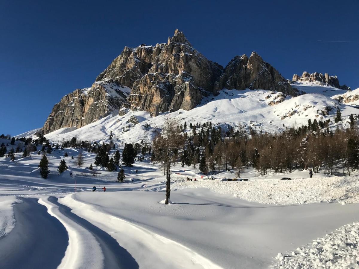 Apartments Vaiolet Santa Cristina Val Gardena Экстерьер фото