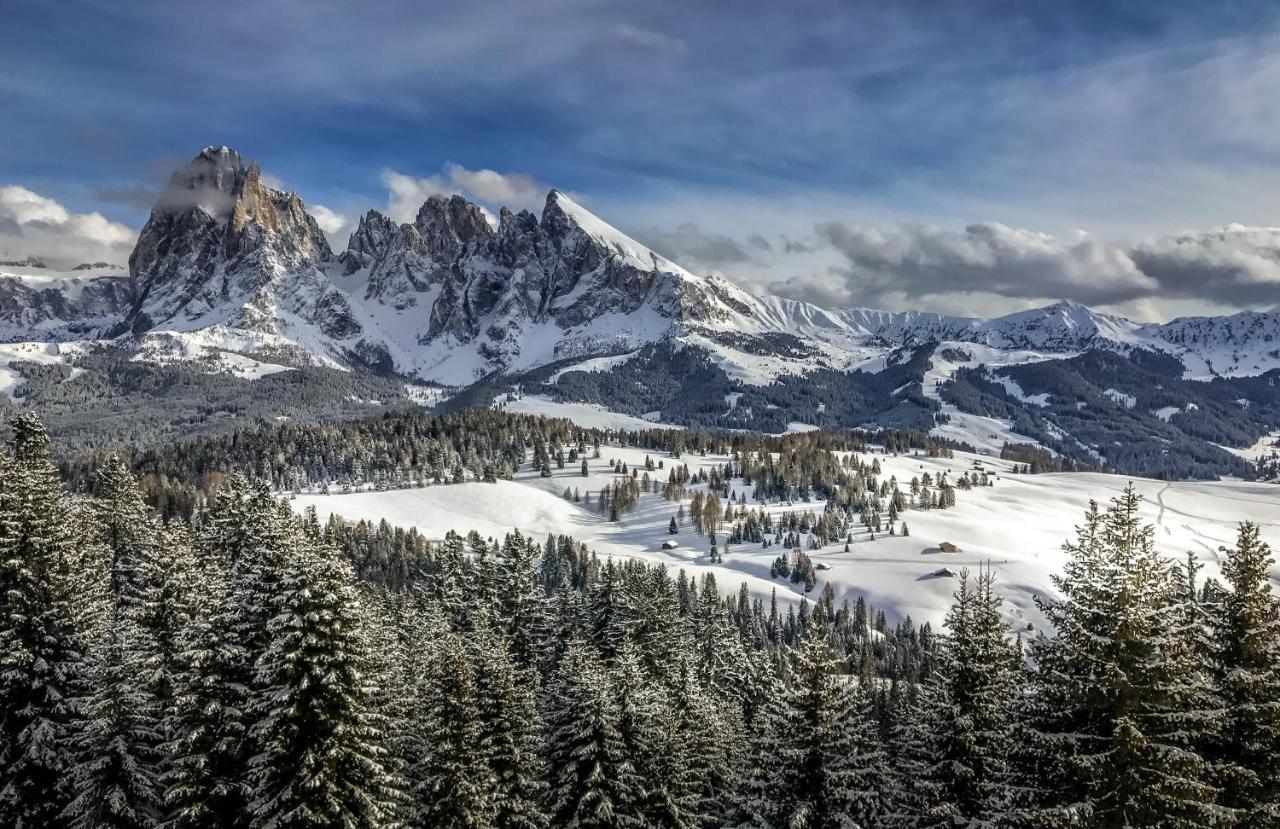 Apartments Vaiolet Santa Cristina Val Gardena Экстерьер фото
